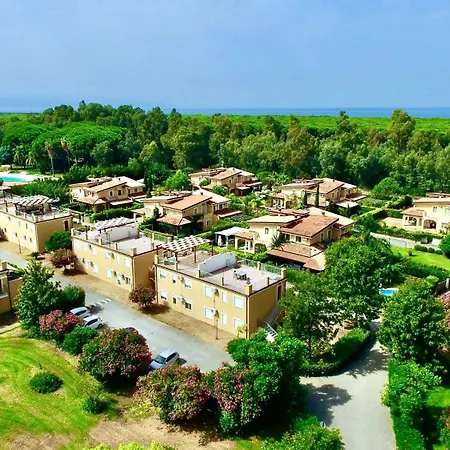 Club One Bed 72g ピッツォ