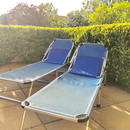 Club One Bed 72g * ピッツォ